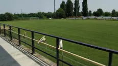 L'impianto sportivo di San Paolo - © www.giornaledibrescia.it