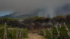 Una veduta dell'incendio che sta interessando il Vesuvio su più fronti di cui due principali: la pineta di Terzigno e Boscotrecase, 9 agosto 2025. // A large fire is raging in a green space on the slopes of Vesuvius Volcano, Naples, Italy, 09 August 2025. ANSA/ CESARE ABBATE