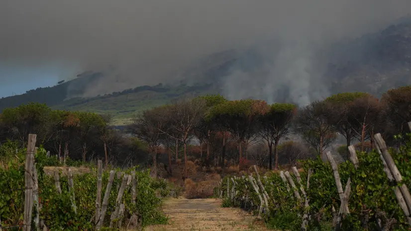 Una veduta dell'incendio che sta interessando il Vesuvio su più fronti di cui due principali: la pineta di Terzigno e Boscotrecase, 9 agosto 2025. // A large fire is raging in a green space on the slopes of Vesuvius Volcano, Naples, Italy, 09 August 2025. ANSA/ CESARE ABBATE