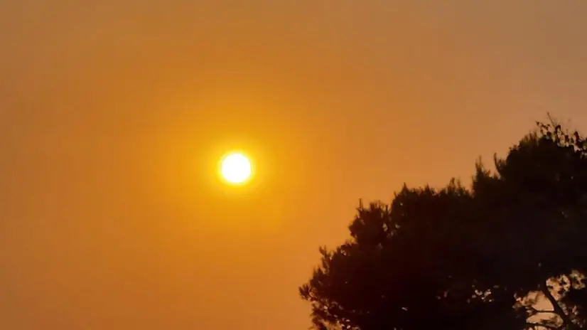 Caldo torrido a Cagliari, 24 luglio 2023. L'anticiclone africano, ribattezzato Caronte, arroventa nuovamente la Sardegna facendo schizzare verso l'alto le temperature che già stamattina hanno segnato picchi di 45 gradi in alcune località nel centro dell'Isola. ANSA / ROBERTA CELOT
