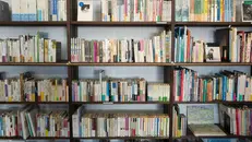 Gli scaffali di una biblioteca, foto simbolica