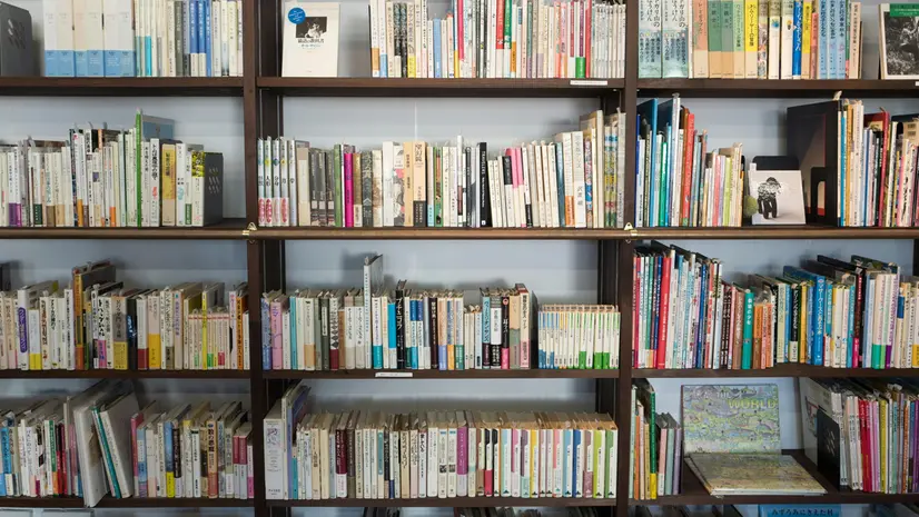 Gli scaffali di una biblioteca, foto simbolica