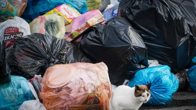 L'emergenza rifiuti 'sporca' la vista sul Vesuvio. Accade a Torre del Greco in via Scappi, dove l'ecopunto del quartiere (l'area dove sono sistemati i grossi cassoni per conferire le varie frazioni della raccolta differenziata) è totalmente invaso da sacchetti non raccolti da giorni, diversi dei quali sono finiti in strada rendendo il tratto percorribile dalle auto solo in senso alternato, Napoli, 21 Novembre 2018. ANSA/CESARE ABBATE