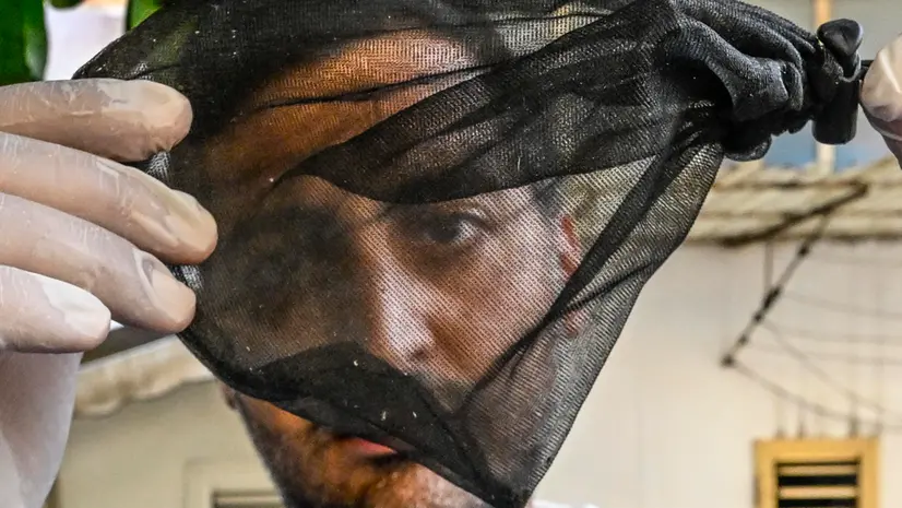 Un tecnico con una trappola per zanzare Culex
