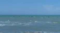 Metaponto di Bernalda, il mare che ha conquistato la bandiera blu