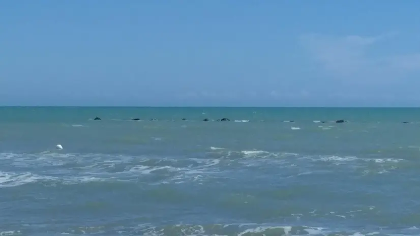 Metaponto di Bernalda, il mare che ha conquistato la bandiera blu