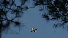 Un canadair sorvola l'area dell'incendio alle pendici del Vesuvio, 9 agosto 2025. I fronti maggiormente interessati dalle fiamme sono la pineta di Terzigno e Boscotrecase. ANSA/ CESARE ABBATE