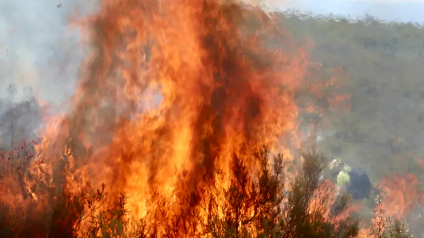 epa12295093 Flames from the forest fire in the Sierra de la Culebra that affects Puercas, in Zamora province, Spain, 12 August 2025. EPA/MARIAM A. MONTESINOS
