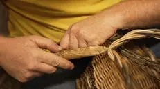 A Biennio una serata sulla video arte con l'artista Pietro Gardoni