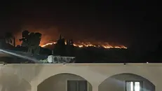 L'incendio visto dai turisti bresciani - © www.giornaledibrescia.it