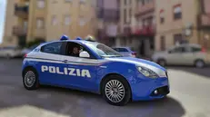 Polizia volante
