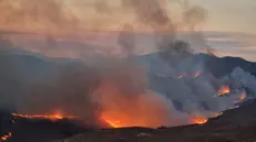 epa12296937 A wildfire burns through grassland and forested areas between Potamia and Pispilounta, on Chios island, Greece, 12 August 2025 (issued 13 August 2025). Firefighters, volunteers and residents of Amani in northwestern Chios fought the raging flames all night, where a fire broke out yesterday afternoon. EPA/KOSTAS KOURGIAS