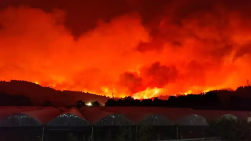 L'incendio a Zante
