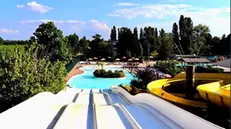 Uno scorcio delle Ninfee