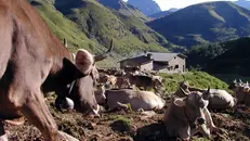 Una malga