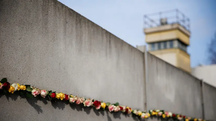 epa11711694 Roses are placed in a gap of remains of the Berlin Wall during a commemorative event on the 35th anniversary of the fall of the Berlin Wall in Berlin, Germany, 09 November 2024. The Berlin Wall surrounded West Berlin for 155 kilometers and divided the city from 13 August 1961 to 09 November 1989. Originally built to prevent East Berliners from fleeing to the West, the wall was continuously expanded by the Socialist Unity Party of Germany (SED) to create a heavily guarded barrier system. The resulting border strip, known in the West as the "death strip", claimed many lives in escape attempts. At least 136 people lost their lives here trying to escape from East to West. The fall of the Wall in November 1989 finally put an end to the system by which the SED had secured its power in the German Democratic Republic (GDR) and heralded the end of the dictatorship. EPA/CLEMENS BILAN