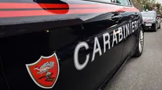 Auto (o anche Gazzelle) del Nucleo Radiomobile dei Carbinieri nella sede del comando del Torrino, Roma, 12 Agosto 2025. ANSA/GIUSEPPE LAMI Sono circa 100 gli equipaggi che quotidianamente 24 ore su 24 intevengono sul territorio della capitale.