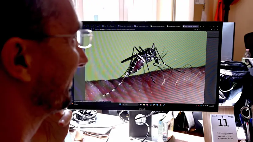 Una zanzara possibile portatrice del virus West Nile, e’ stata trovata in una zona del cimitero monumentale di Staglieno. Comune e regione Liguria stanno seguendo l’evolversi della situazione facendo partire delle disinfestazioni preventive. Genova, 12 agosto 2025 ANSA/LUCA ZENNARO