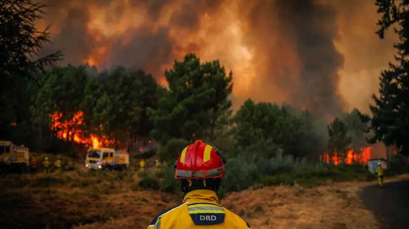 epa12296404 Firefighters of the Special Civil Protection Force battle a forest fire near Paredes, Vila Real, Portugal, 12 August 2025. Hundreds of personnel were engaged in fighting the three most serious fires in the region, which are raging in Vila Real, Tabuaço and Trancoso. EPA/PEDRO SARMENTO COSTA
