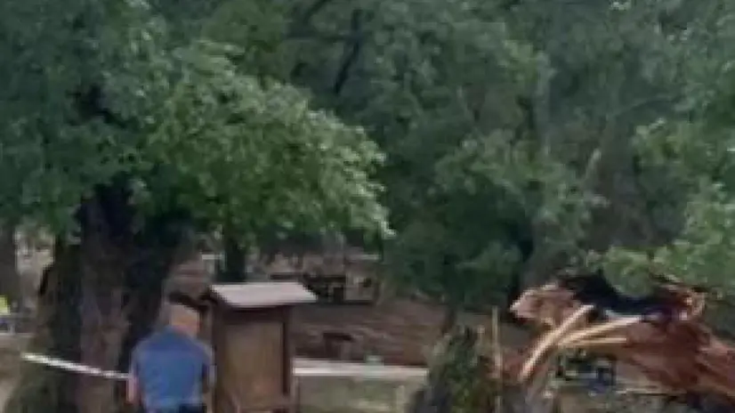 Frame da un video recuperatp da me da cc, si possono usare e firmare solo ANSA, se utili