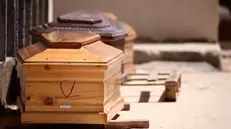 Alcune bare dei migranti morti durante il naufragio del 13 agosto a largo di Lampedusa, presso il cimitero di Lampedusa (Ag), 15 agosto 2025, ANSA/VINCENZO LIVIERI