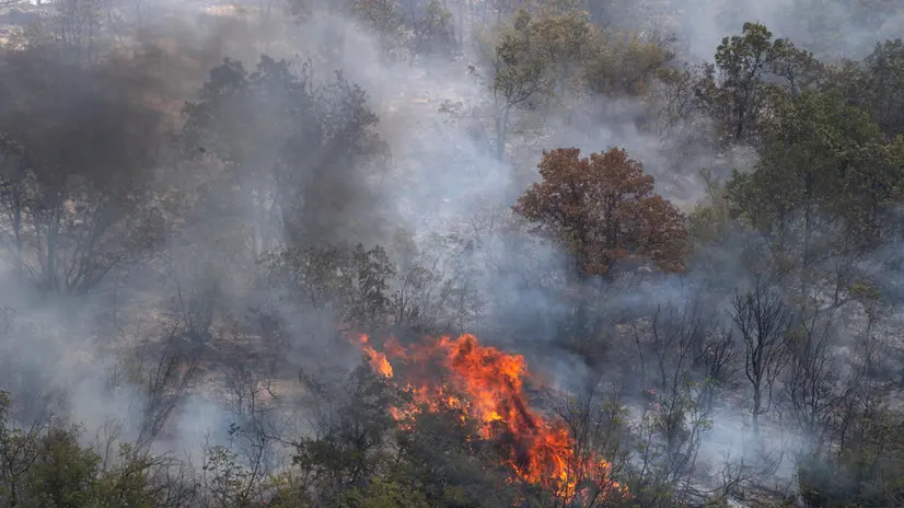 epa11483696 A general view of a forest fire, next to the Krivolak military training ground, near the town of Negotino, North Macedonia, 17 July 2024. Several wildfires swept across northern Macedonia, prompting a 30-day state of emergency. Planes and helicopters from Croatia, Serbia, Slovenia and Turkey have arrived to help fight the fires. Authorities have identified 12 active wildfires burning in the country as of Tuesday morning, July 16. The largest fire was near the town of Negotino, while another blaze was approaching the southern town of Bitola. The region has also been hit by a heat wave since last week, which is forecast to continue for several more days. EPA/GEORGI LICOVSKI