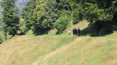 Un sentiero nel Parco dell'Alto Garda - © www.giornaledibrescia.it