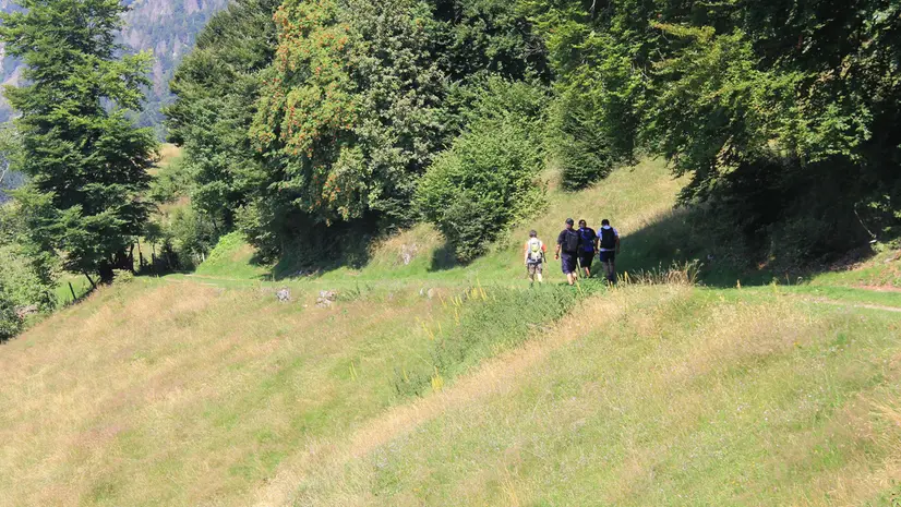 Un sentiero nel Parco dell'Alto Garda - © www.giornaledibrescia.it