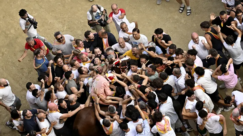 Jokey Giuseppe Zedde also known as Gingillo on Anda e Bola celebrates after winning the historical horse race 'Palio di Siena' on Piazza del Campo in Siena, Italy, 16 August 2025. The traditional horse race takes place on 16 August as the 'Palio dell'Assunta' during the holidays for the Assumption of Mary. ANSA/CLAUDIO GIOVANNINI