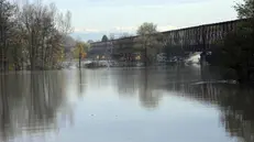 Po river in flood passes under the Becca bridge (Ponte della. Becca) in Pavia, Italy, 25 November 2019. ANSA/ DINO FERRETTI