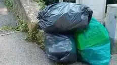 I tre sacchi della spazzatura contenenti quanto raccolto - © www.giornaledibrescia.it