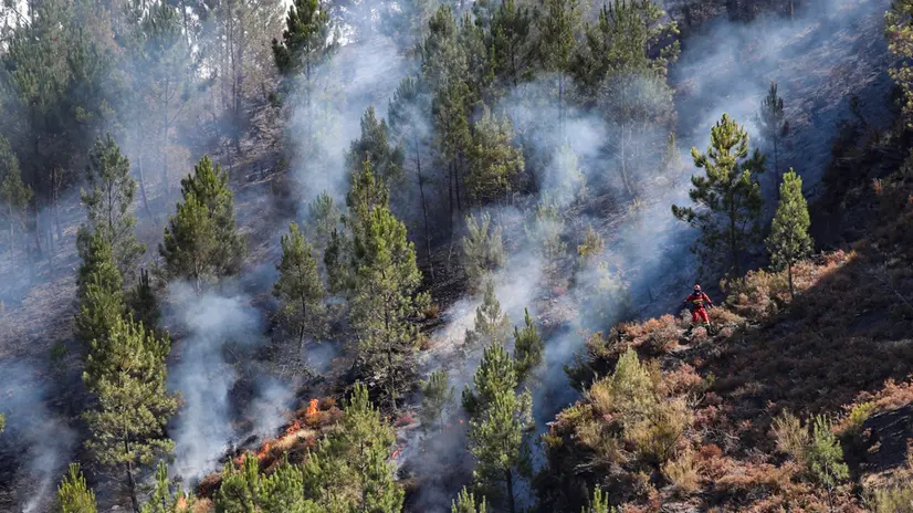 epa12309719 Smoke rises from the forest fire in Bendollo, Lugo, Galicia, Spain, 19 August 2025. Galicia is affected by several fires in the provinces of Ourense and Lugo with more than 62,000 hectares of burnt land. EPA/Eliseo Trigo