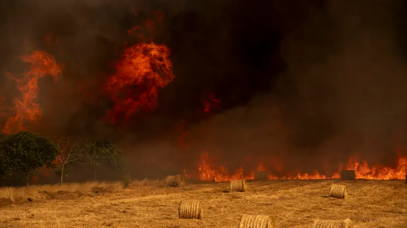 epa12312972 A forest fire that started recently is burning in A Gudina, Ourense, Spain, 20 August 2025. EPA/BRAIS LORENZO