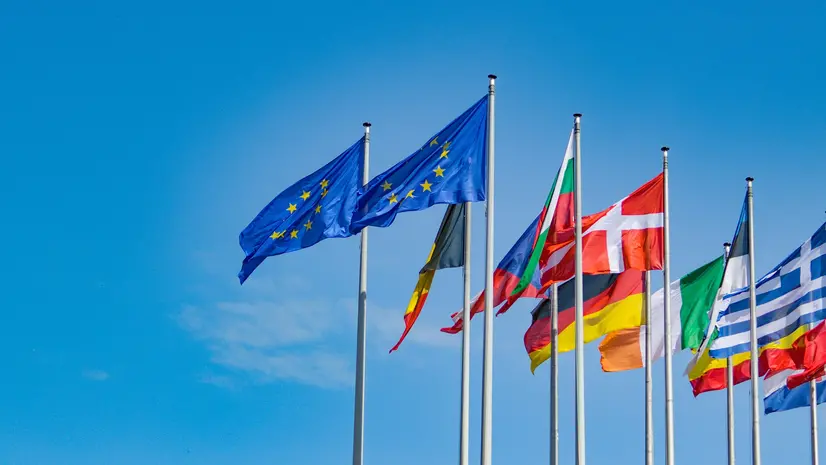 Bandiere dell'Unione Europea e di Paesi Ue - Foto Pixabay