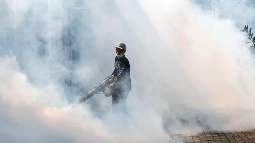 epa12176537 A worker fumigates anti-mosquito fog to control dengue fever at a residential area in Depok, West Java, Indonesia, 15 June 2025. The fogging was a preventive measure against the spread of dengue fever carried by the Aedes aegypti mosquito. Indonesian Ministry of Health recorded 257,271 dengue cases with 1,461 deaths in 2024. EPA/MAST IRHAM