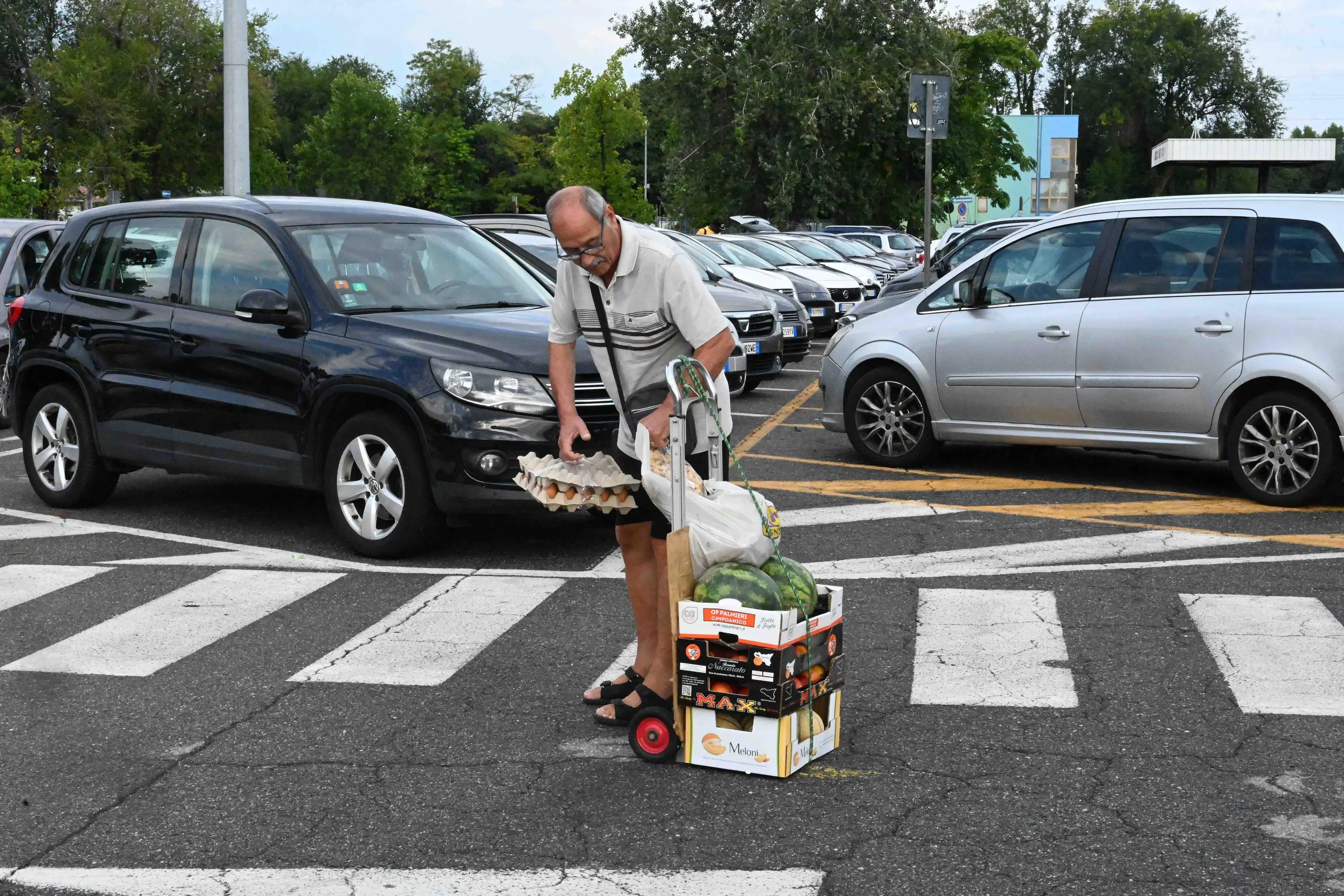 Il sabato mattina all'Ortomercato