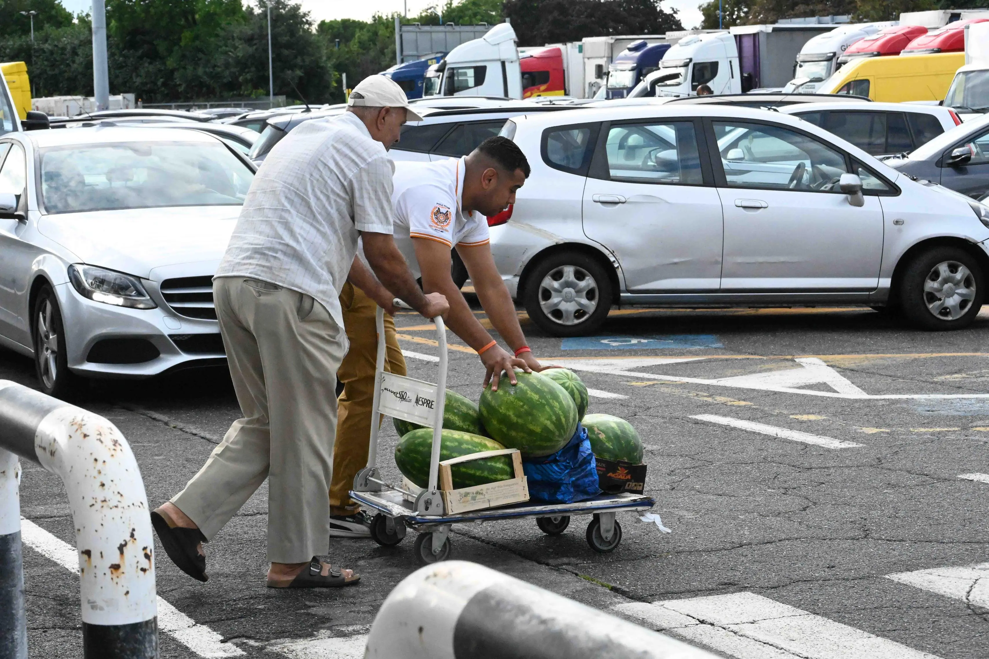 Il sabato mattina all'Ortomercato
