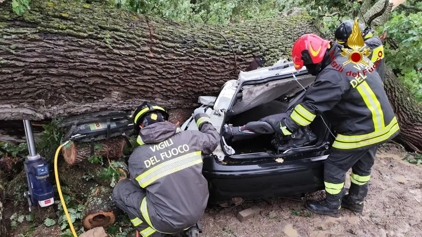 Vigili del Fuoco di Matera impegnati per un incidente a Ferrandina, albero si abbatte su un'auto: un morto e tre feriti