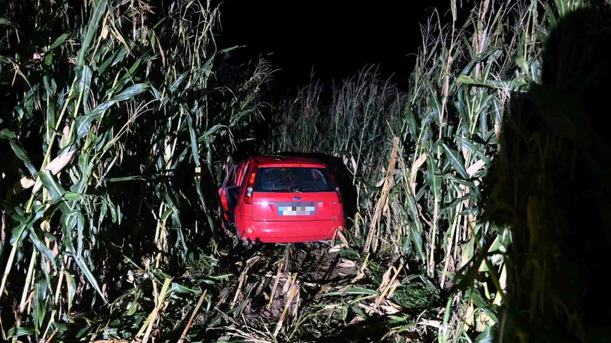 L'auto finita nel campo dopo l'investimento mortale a Roccafranca