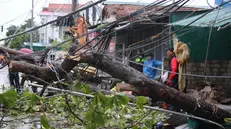 epa12322853 People look at a fallen tree in Vinh City, Nghe An province, Vietnam, 26 August 2025. Typhoon Kajiki made landfall in central Vietnam on 25 August, bringing torrential rains, mass evacuations, and the closure of airports and schools. EPA/LUONG THAI LINH