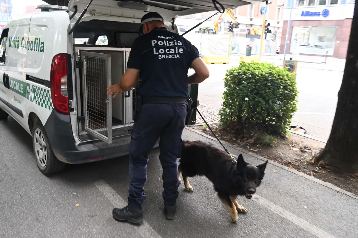 Le Unità cinofile della Polizia locale di Brescia
