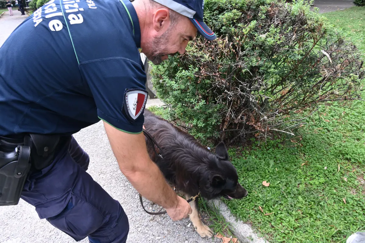 Le Unità cinofile della Polizia locale di Brescia