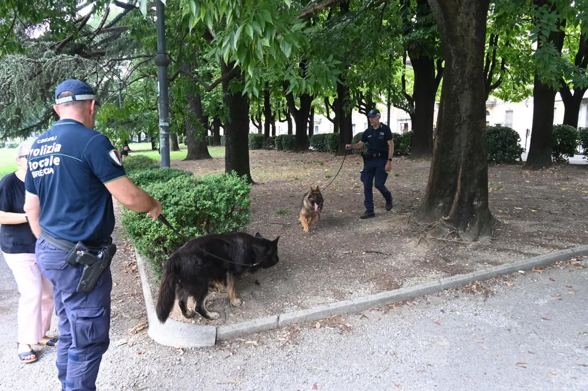 Le Unità cinofile della Polizia locale di Brescia
