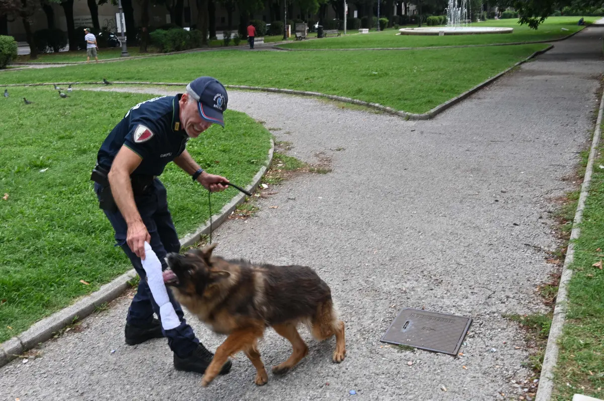 Le Unità cinofile della Polizia locale di Brescia