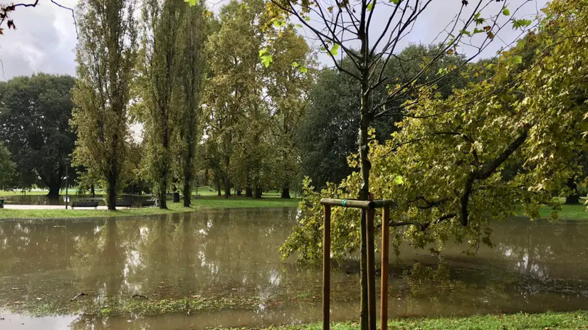 Maltempo: Milano, parco Lambro allagato