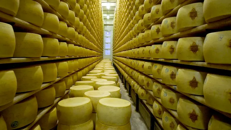 Forme di Grana Padano