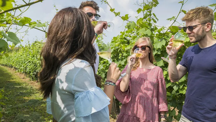 Una terra da vivere gustando buon vino, e non solo - © www.giornaledibrescia.it