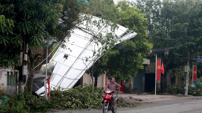 epa12325646 A man rides a motorbike past a fallen tree on a street in Vinh, Nghe An province, Vietnam, 27 August 2025. Typhoon Kajiki made landfall on 25 August, killing at least seven people and injuring 34 others in Vietnam, according to authorities in Vietnam. EPA/LUONG THAI LINH