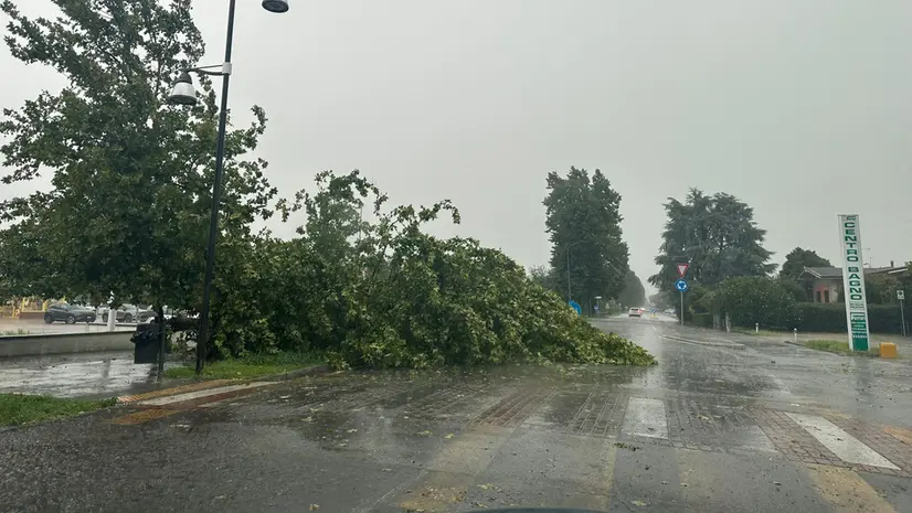 Manerbio: i danni del maltempo