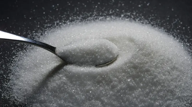 Lo zucchero non è paragonabile alle droghe